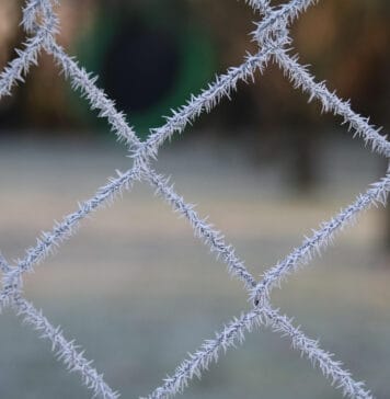 Ogrodzenie z siatki jako inwestycja, która naprawdę się opłaca — praktyczne rozwiązanie na lata